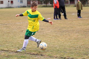 Kaiyun APP-中超冠军梦碎后，蓉城要在亚洲赛场重塑信心，中甲成都蓉城今天比赛结果